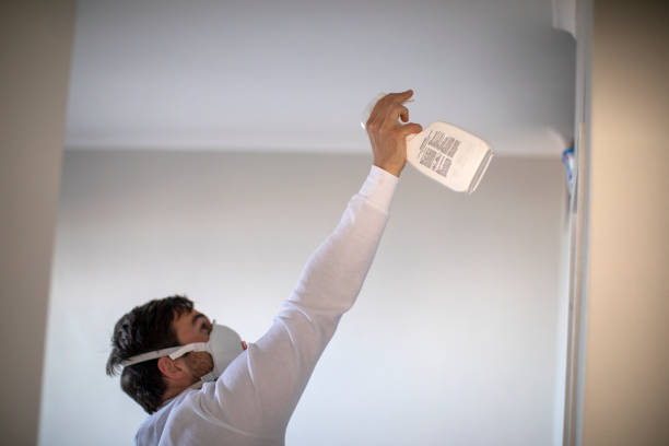 Mold Testing and Removal in Somers, WI
