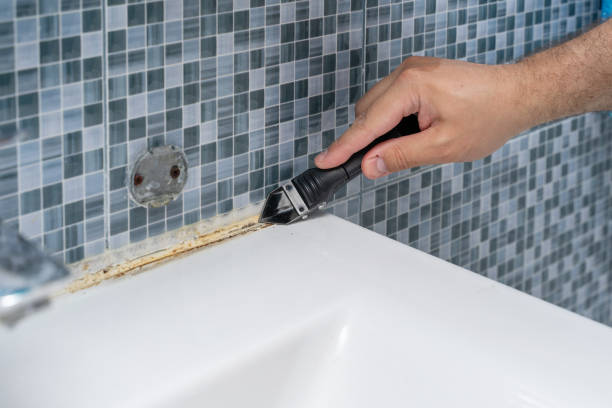 Best Best Mold Removal Companies  in Somers, WI