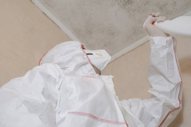 Best Mold Cleaning Services  in Somers, WI